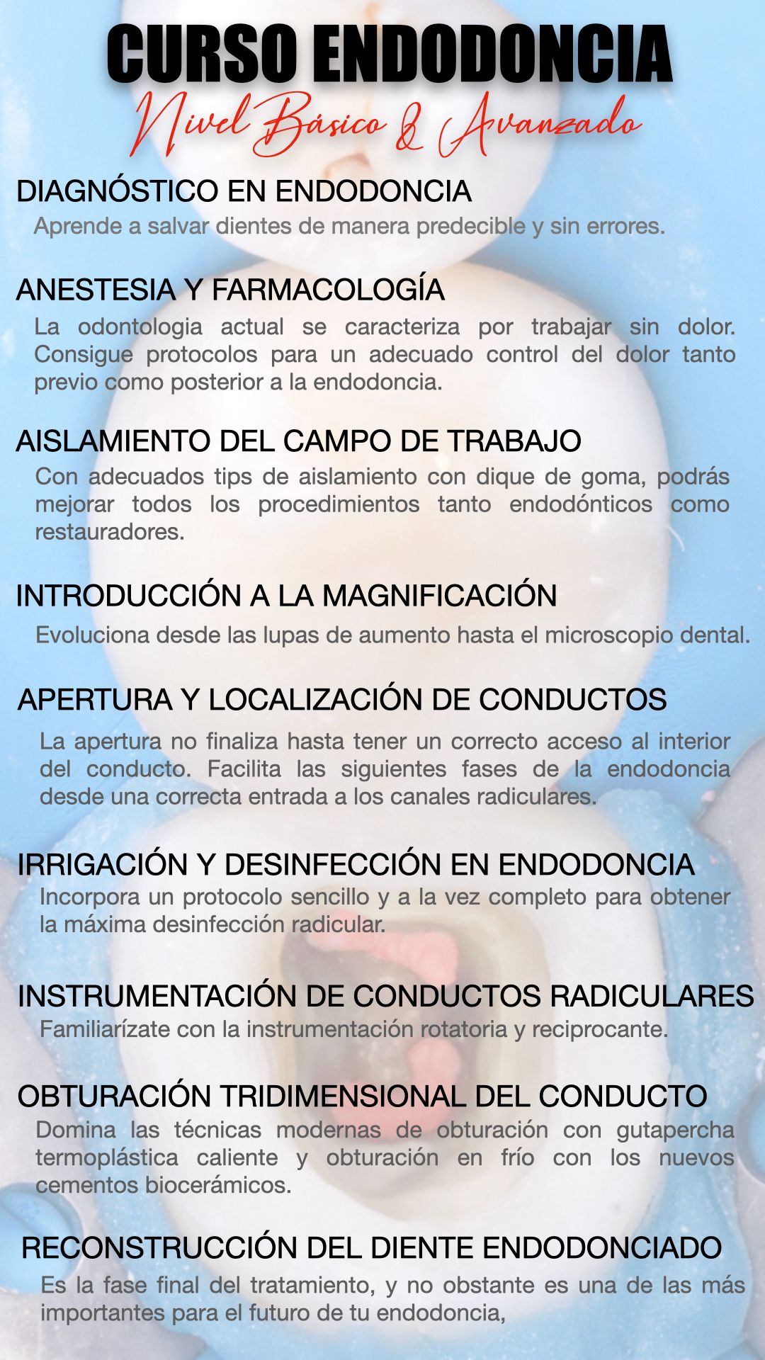 Curso Básico y Avanzado